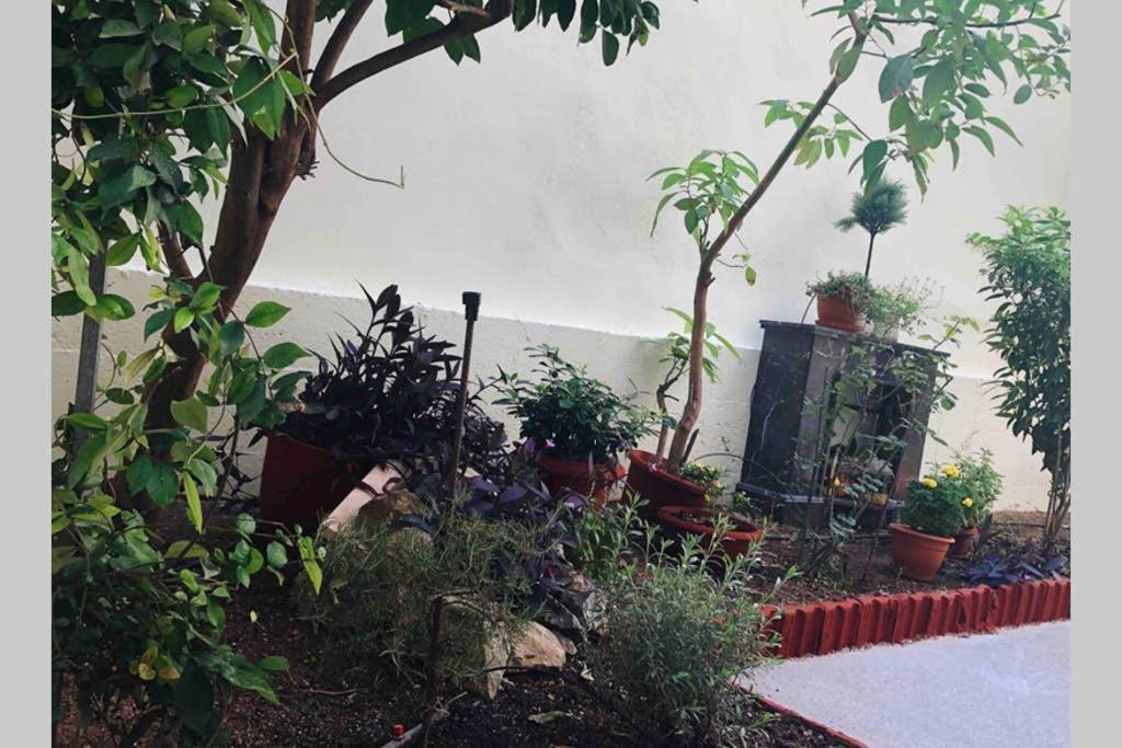 Appartamento Modern Hospitality, With Private Garden, Atene Esterno foto